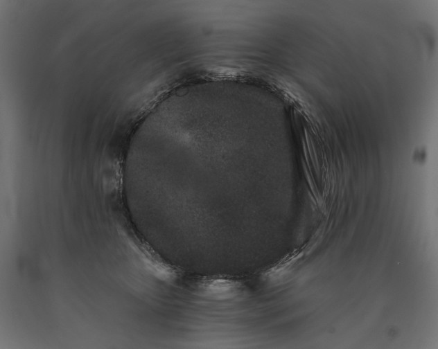 X0000090720467200708031504