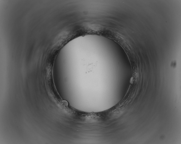 X0000090720468200708031504