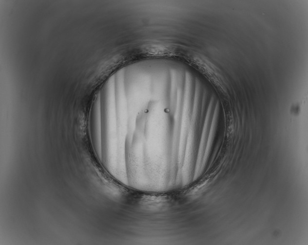 X0000090720469200708031504