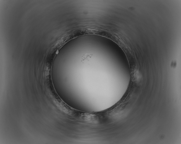 X0000090720472200708031504