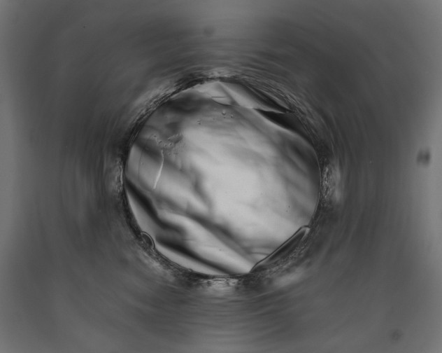 X0000090720474200708031504