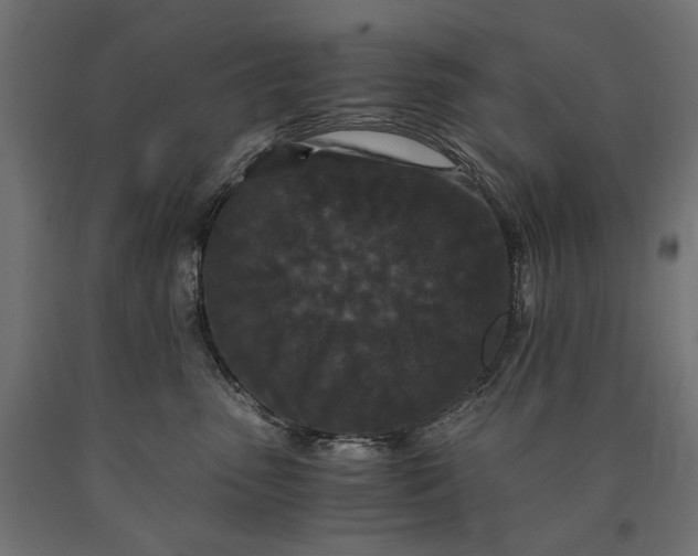 X0000090720475200708031504