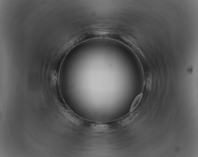 X0000090720476200708031504