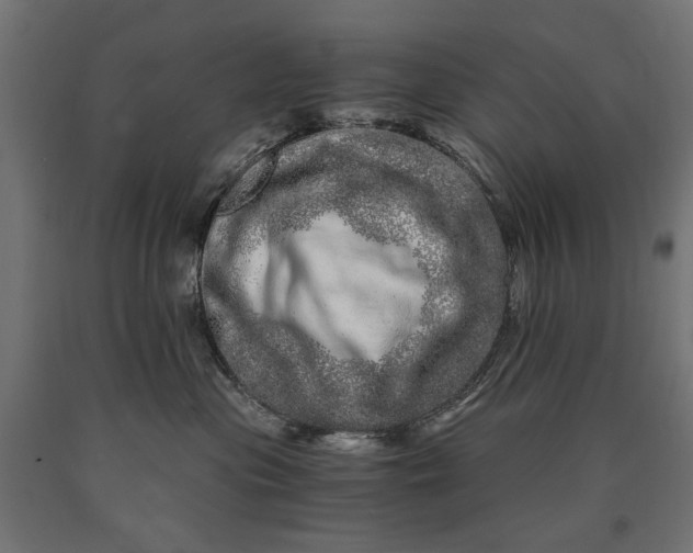 X0000090720477200708031504