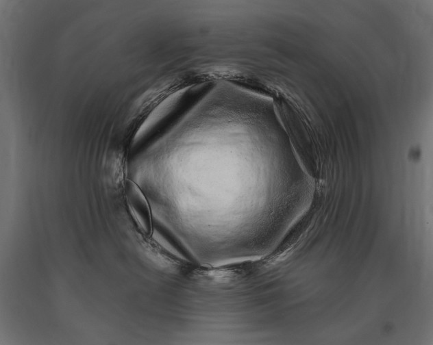 X0000090720478200708031504