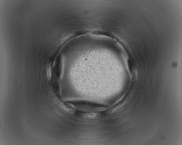 X0000090720479200708031504