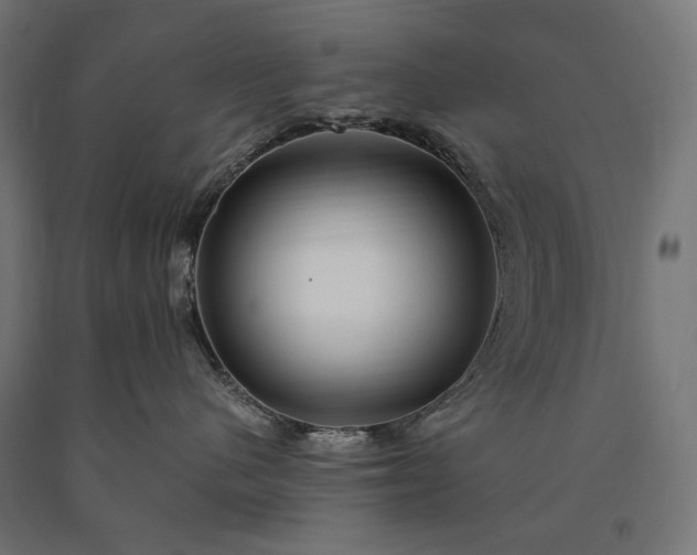 X0000090720480200708031504