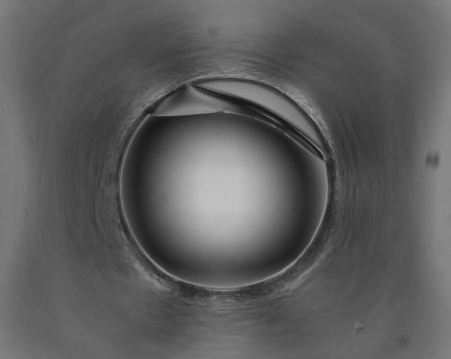 X0000090720481200708031504