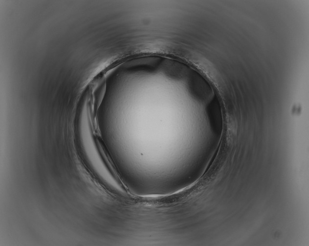 X0000090720482200708031504