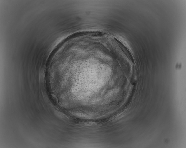 X0000090720483200708031504