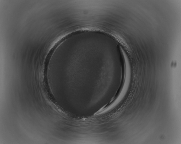 X0000090720484200708031504
