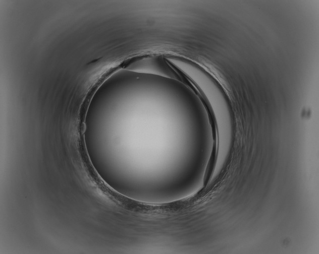 X0000090720485200708031504