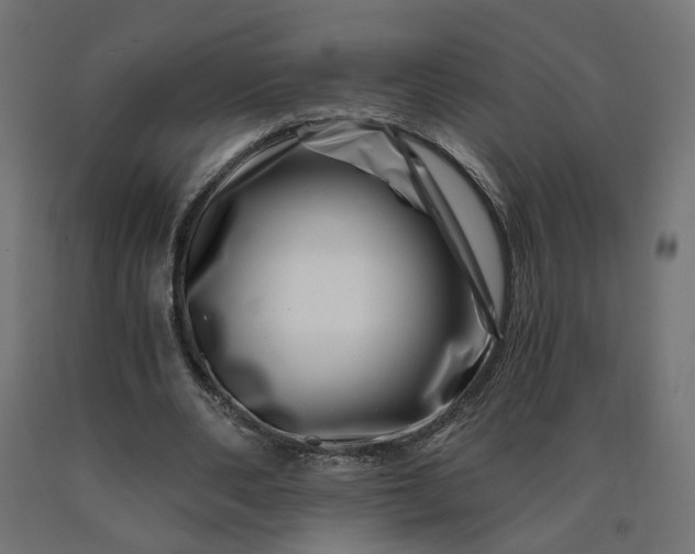 X0000090720486200708031504