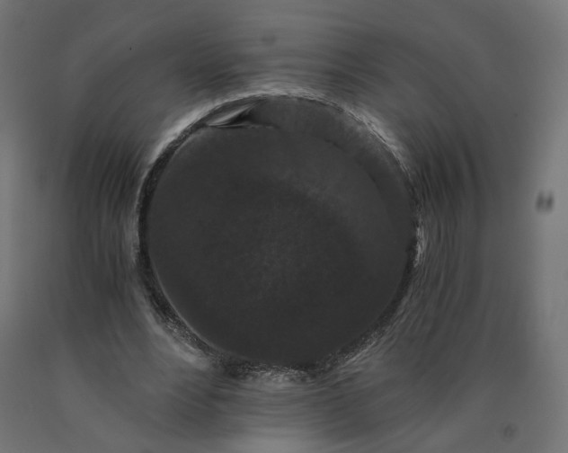 X0000090720488200708031504