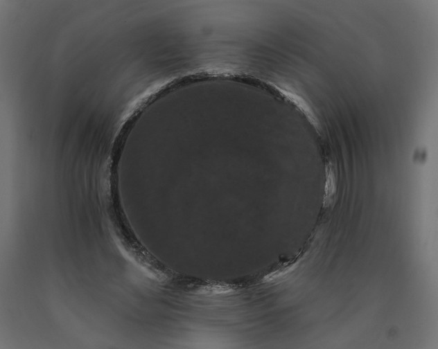 X0000090720492200708031504
