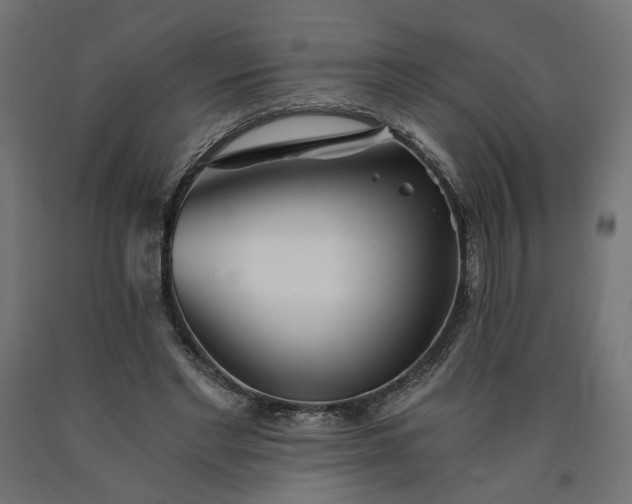 X0000090720493200708031504
