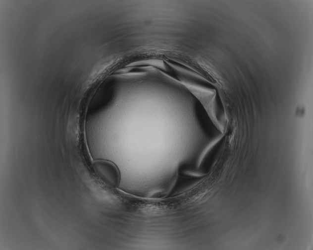 X0000090720494200708031504