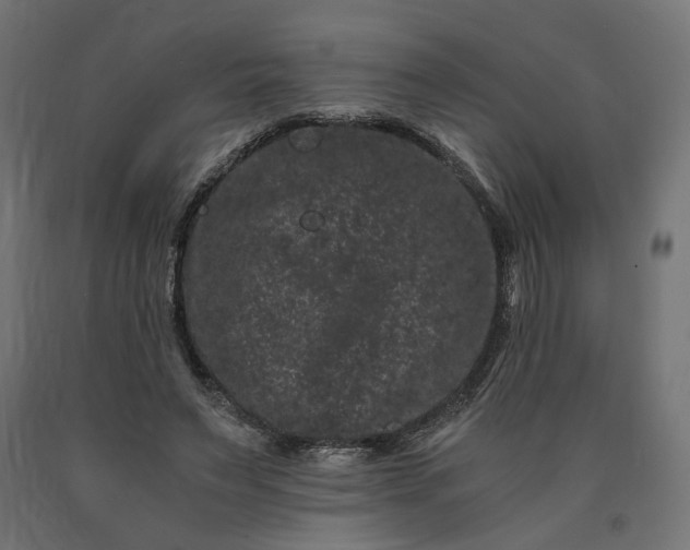 X0000090720495200708031504