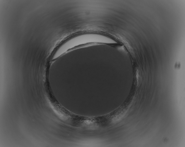 X0000090720496200708031504