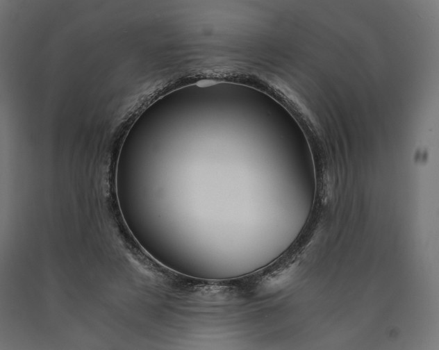 X0000090720497200708031504