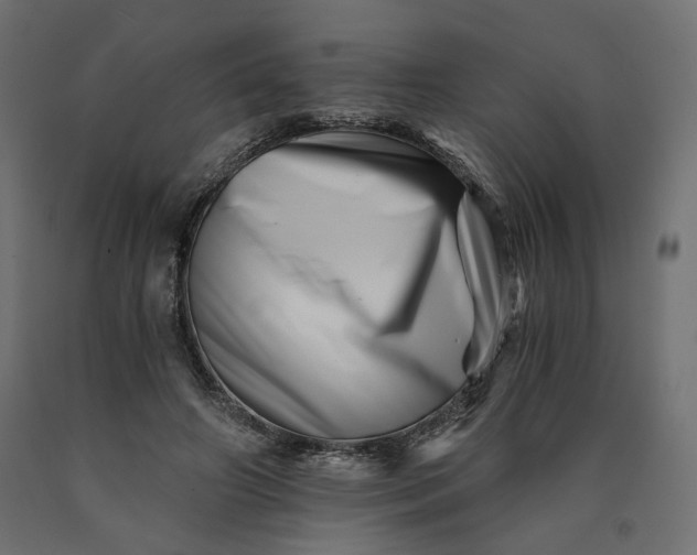 X0000090720498200708031504