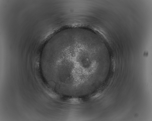 X0000090720499200708031504