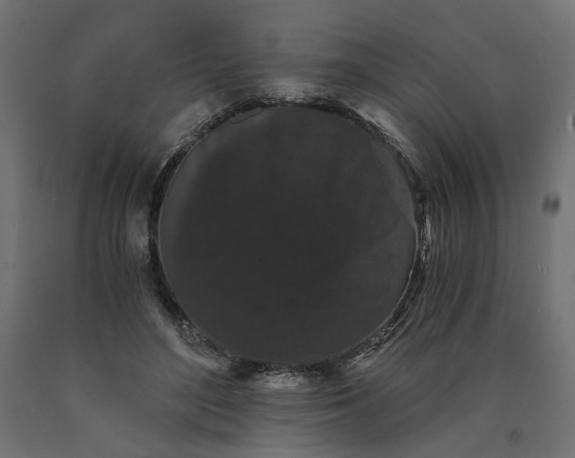 X0000090720500200708031504