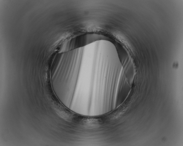 X0000090720501200708031503