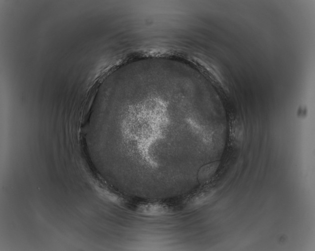 X0000090720503200708031503