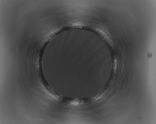 X0000090720504200708031503