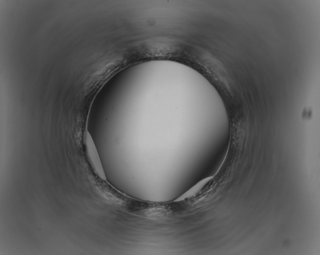 X0000090720505200708031503