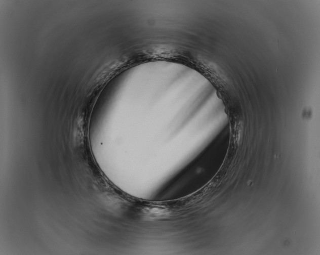 X0000090720506200708031503