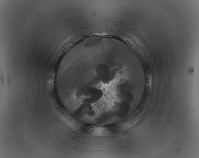 X0000090720507200708031503