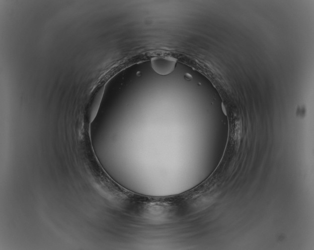 X0000090720508200708031503