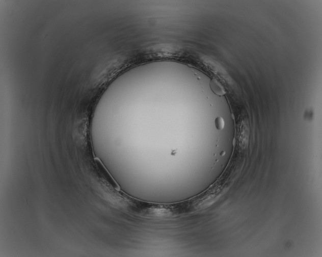 X0000090720509200708031503