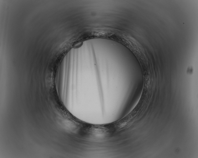 X0000090720510200708031503