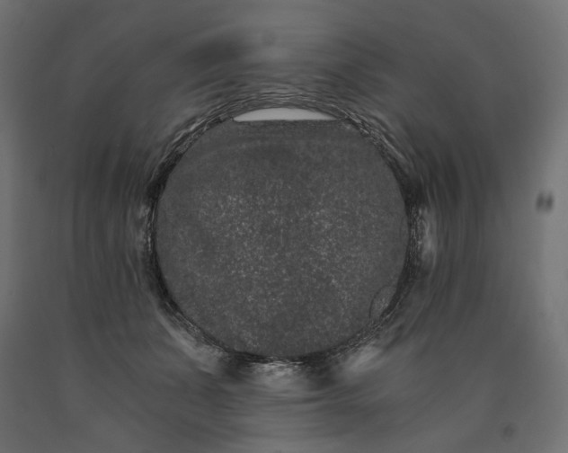 X0000090720511200708031503