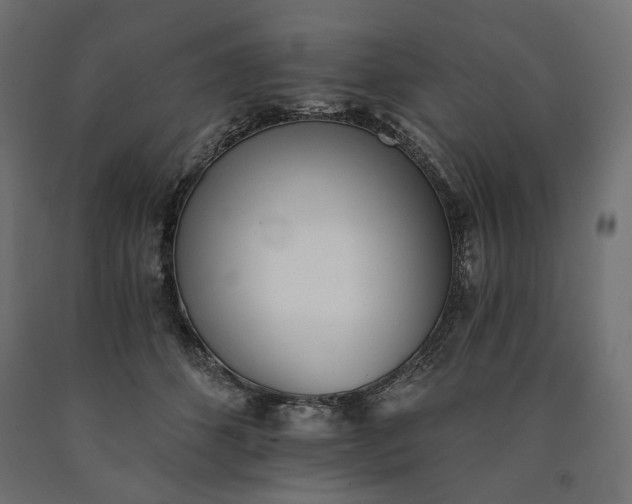 X0000090720512200708031503