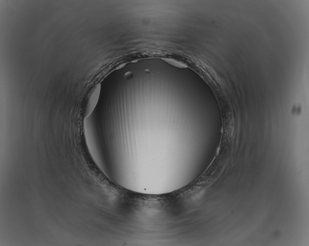 X0000090720513200708031503
