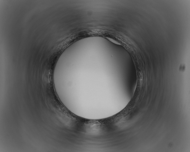 X0000090720514200708031503