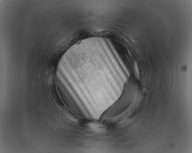 X0000090720515200708031503