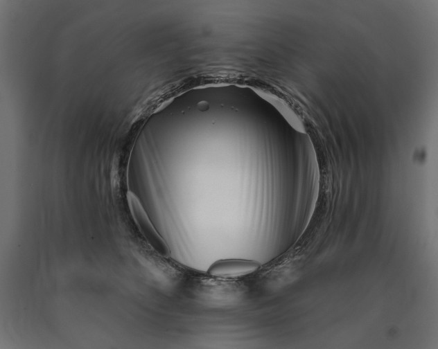 X0000090720516200708031503