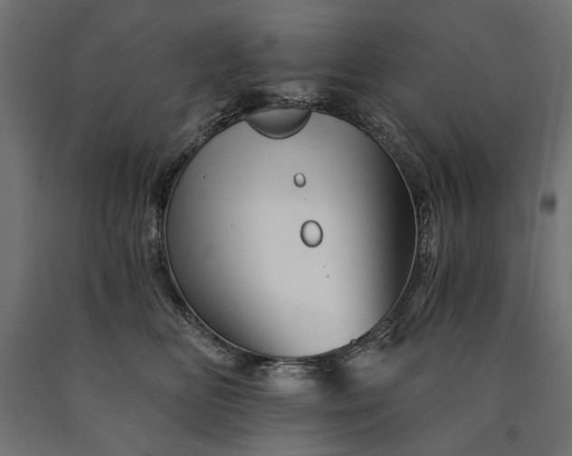 X0000090720518200708031503