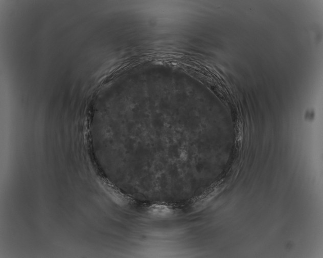 X0000090720519200708031503