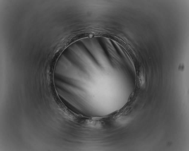 X0000090720520200708031503