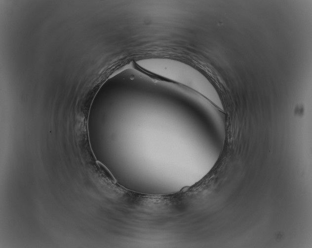 X0000090720521200708031503