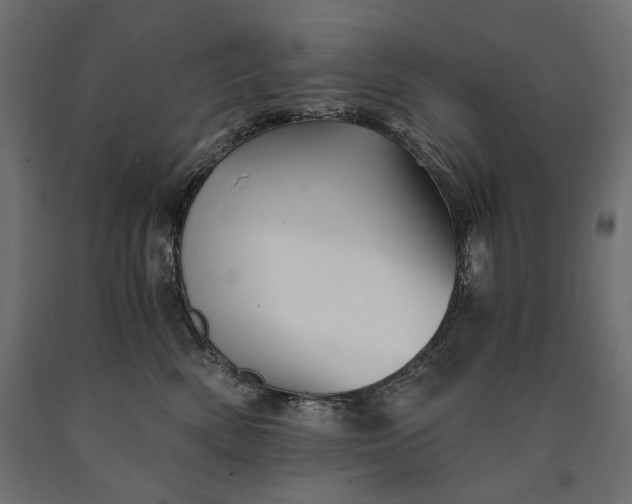 X0000090720522200708031503