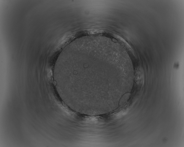 X0000090720523200708031503