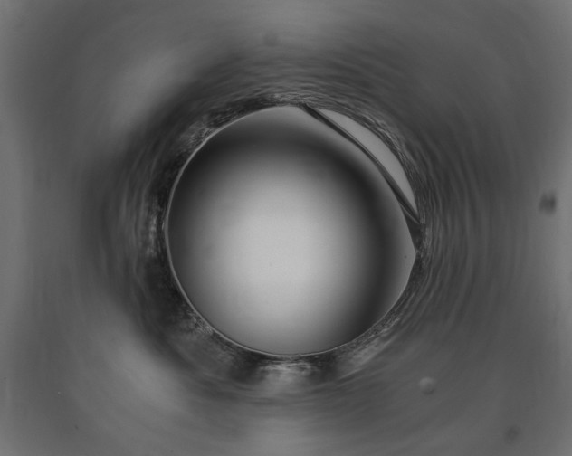 X0000090720525200708031503