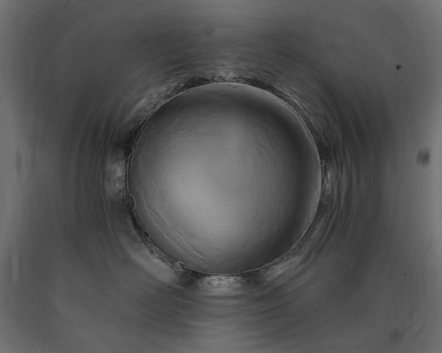 X0000090720526200708031503